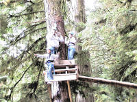 On the ropes course.
