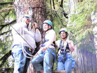 On the ropes course.