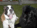 Georgia and Dolph
