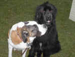 Georgia and Dolph