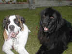 Georgia and Dolph